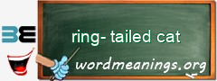 WordMeaning blackboard for ring-tailed cat